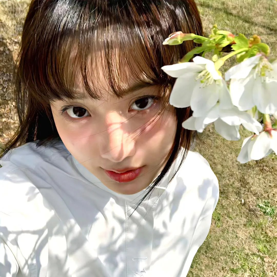 若草物语